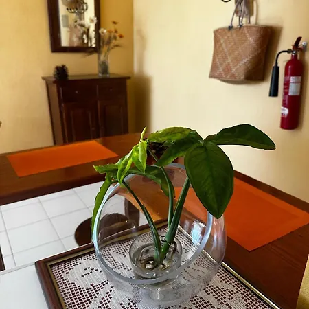 Mayoysa Apartment San Antonio (La Palma)